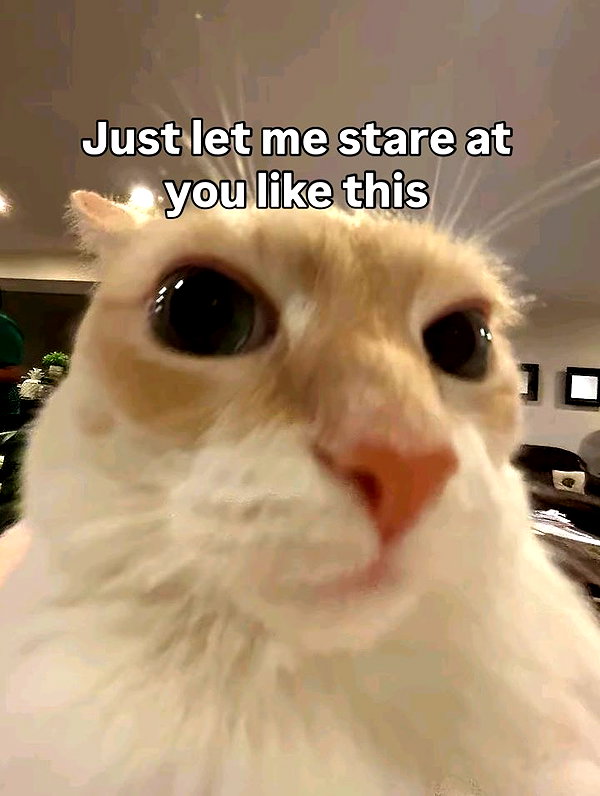 ilovecreamicloud instagram image archive image