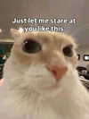 ilovecreamicloud Altpins Profile Picture