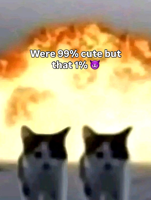 ilovecreamicloud instagram image archive image