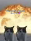 ilovecreamicloud Altpins Profile Picture