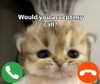 ilovecreamicloud Altpins Profile Picture