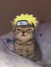 ilovecreamicloud Altpins Profile Picture