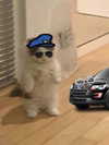 ilovecreamicloud Altpins Profile Picture