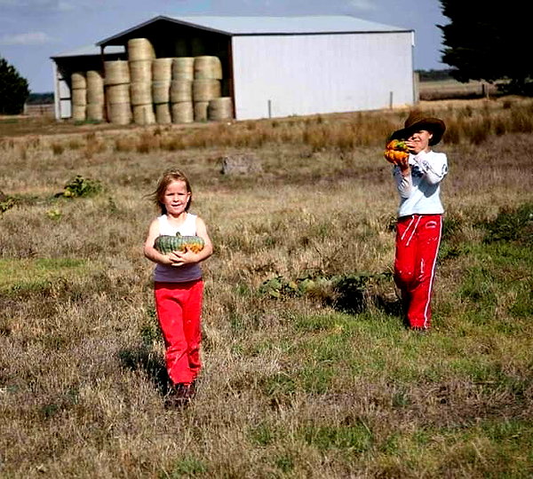 ilsawatkins instagram image archive image
