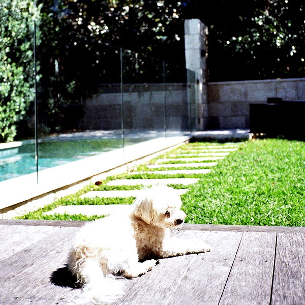 ilsawatkins instagram image archive image