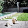 ilsawatkins Altpins Profile Picture