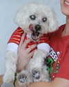 ilsawatkins Altpins Profile Picture