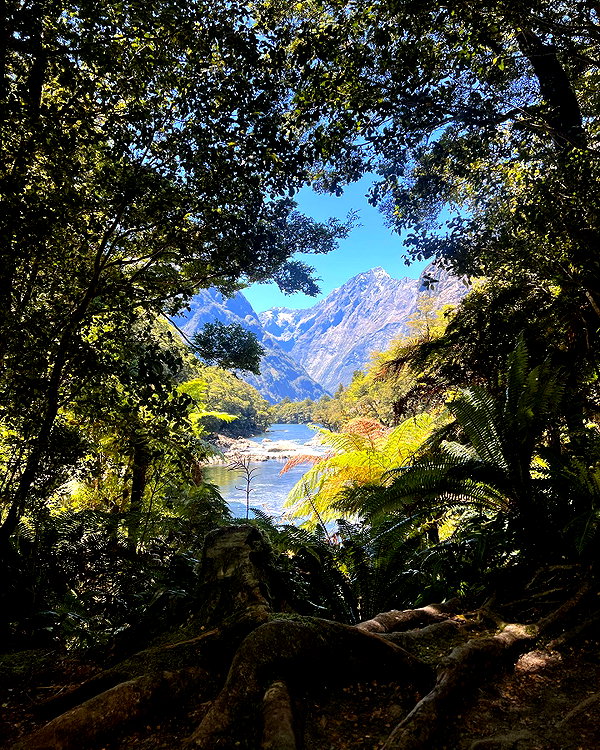 ilsawatkins instagram image archive image