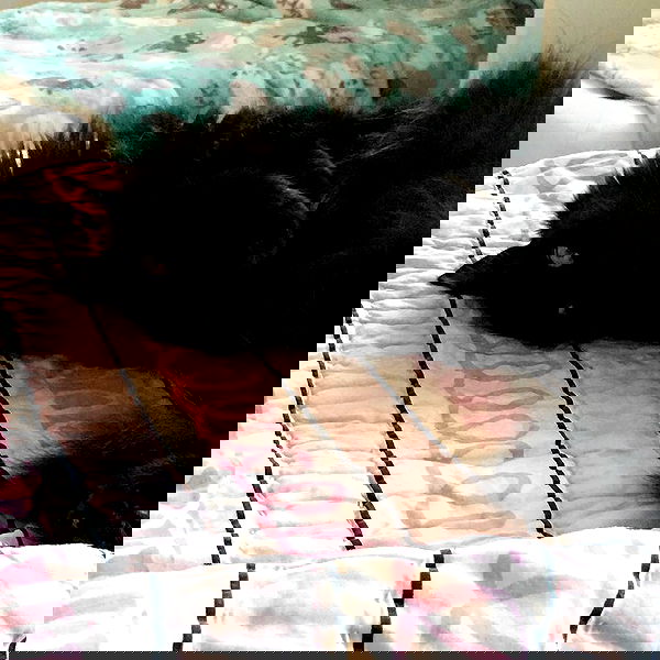 iluvmeww iluvmeww archive image