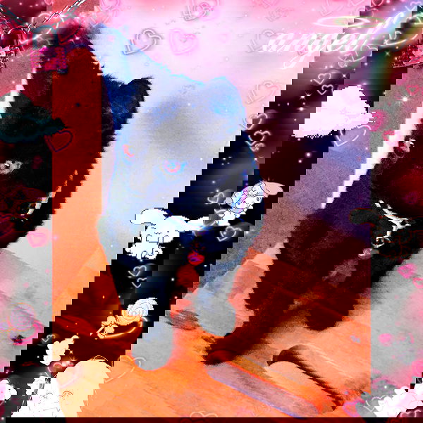 iluvmeww iluvmeww archive image