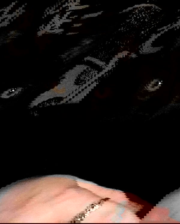 iluvmeww iluvmeww archive image