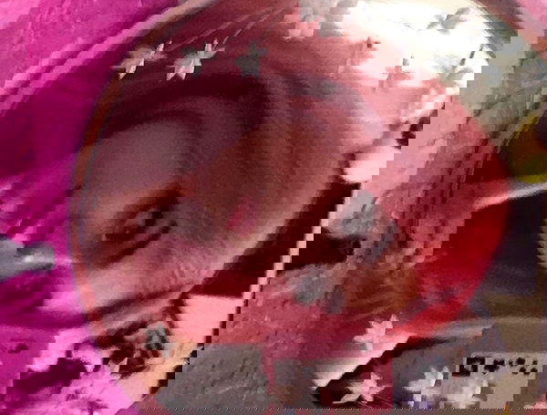 iluvmeww iluvmeww archive image