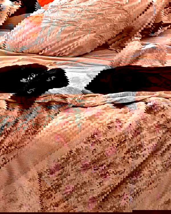 iluvmeww iluvmeww archive image