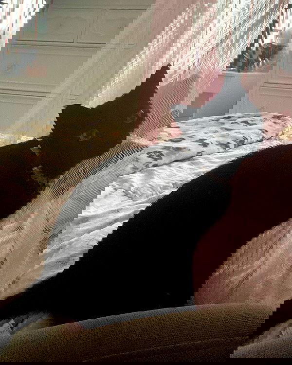 iluvmeww iluvmeww archive image