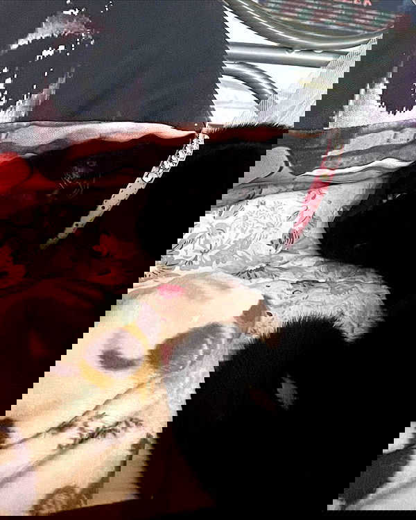 iluvmeww iluvmeww archive image