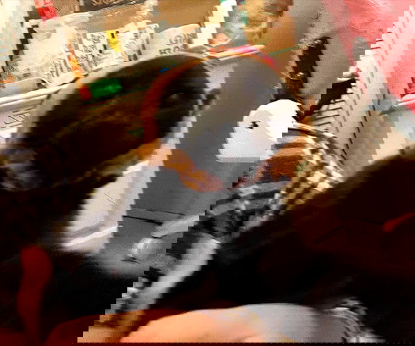 iluvmeww iluvmeww archive image