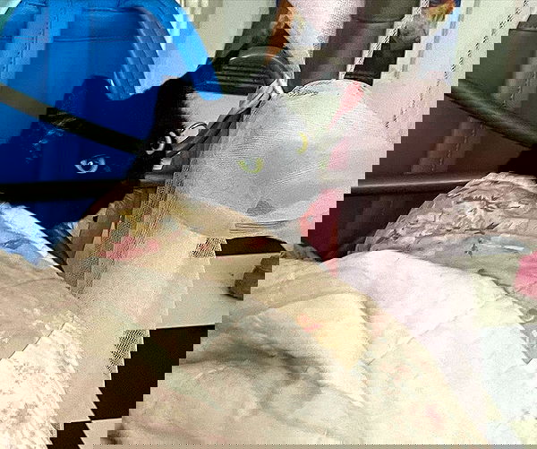 iluvmeww iluvmeww archive image