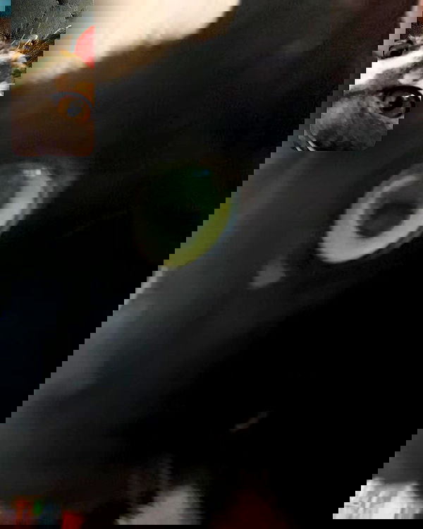 iluvmeww iluvmeww archive image