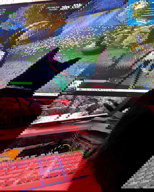 iluvmeww iluvmeww archive image