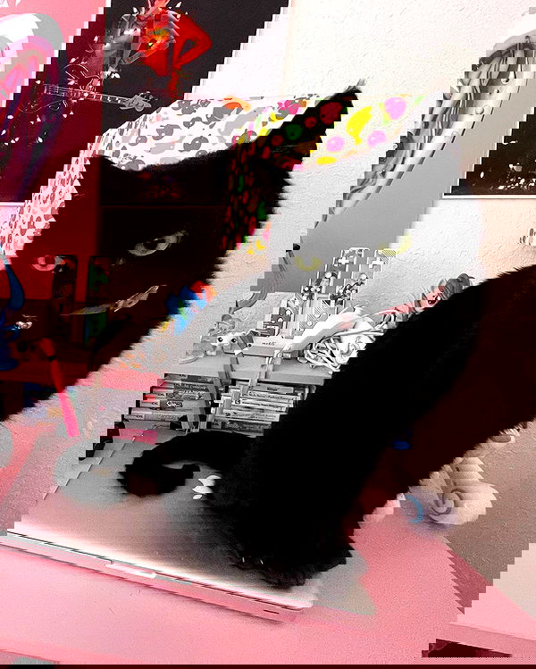 iluvmeww iluvmeww archive image