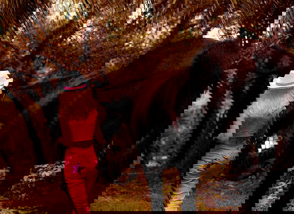 iluvmeww iluvmeww archive image