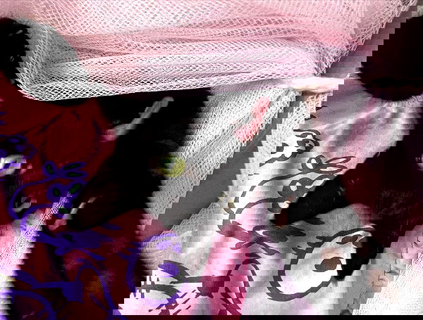 iluvmeww iluvmeww archive image