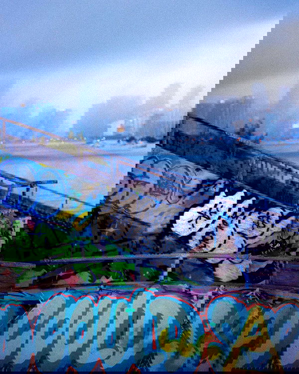 iluvmeww iluvmeww archive image