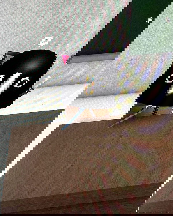 iluvmeww iluvmeww archive image