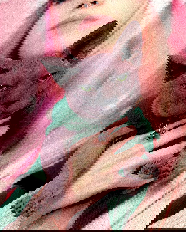 iluvmeww iluvmeww archive image