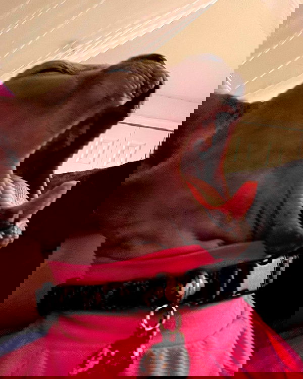 iluvmeww iluvmeww archive image