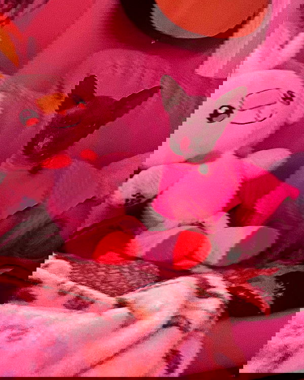 iluvmeww iluvmeww archive image