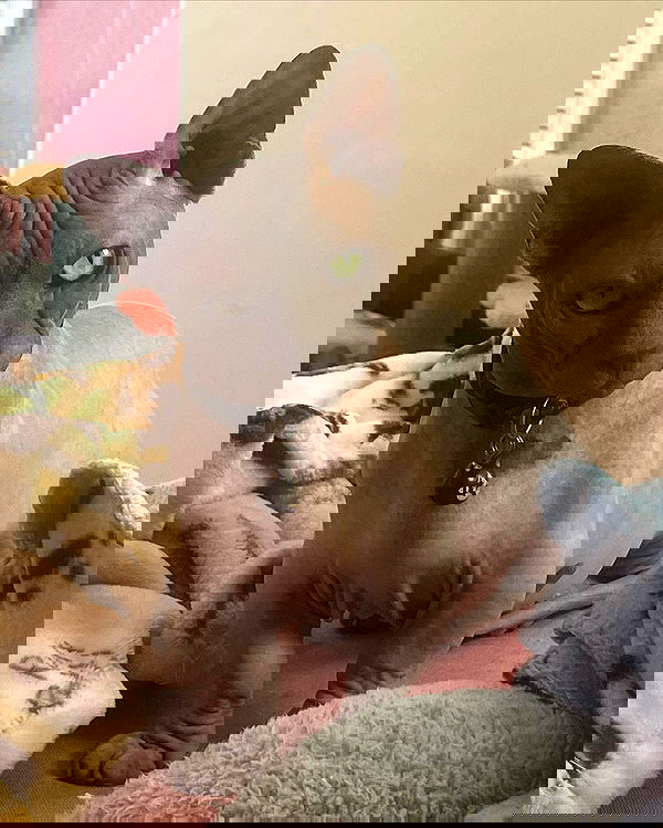 iluvmeww iluvmeww archive image