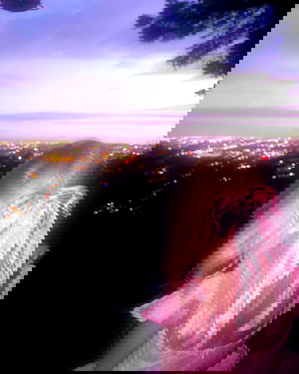 iluvmeww iluvmeww archive image