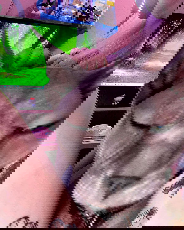 iluvmeww iluvmeww archive image