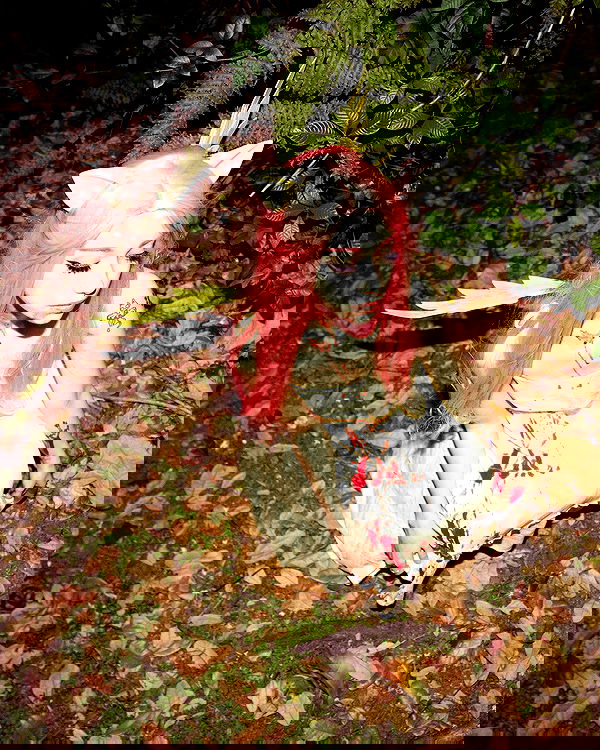 iluvmeww iluvmeww archive image