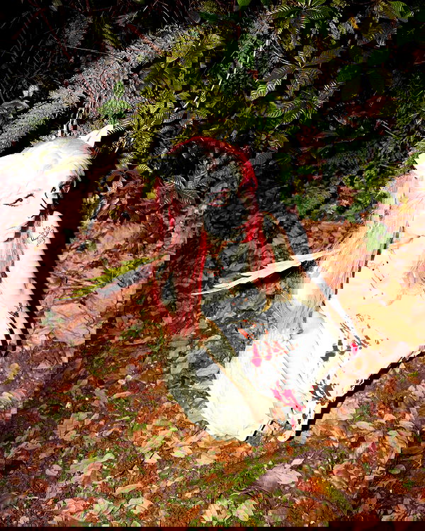 iluvmeww iluvmeww archive image