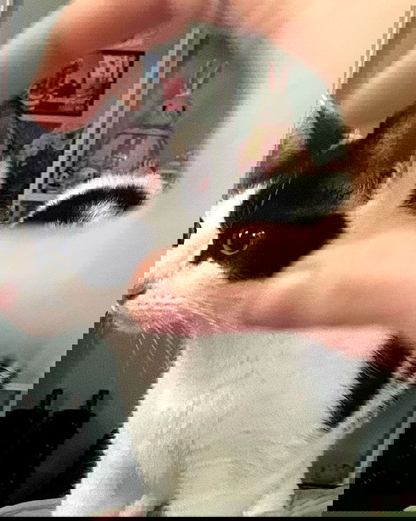 iluvmeww iluvmeww archive image