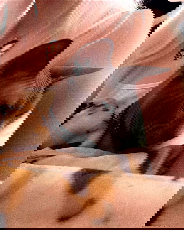 iluvmeww iluvmeww archive image