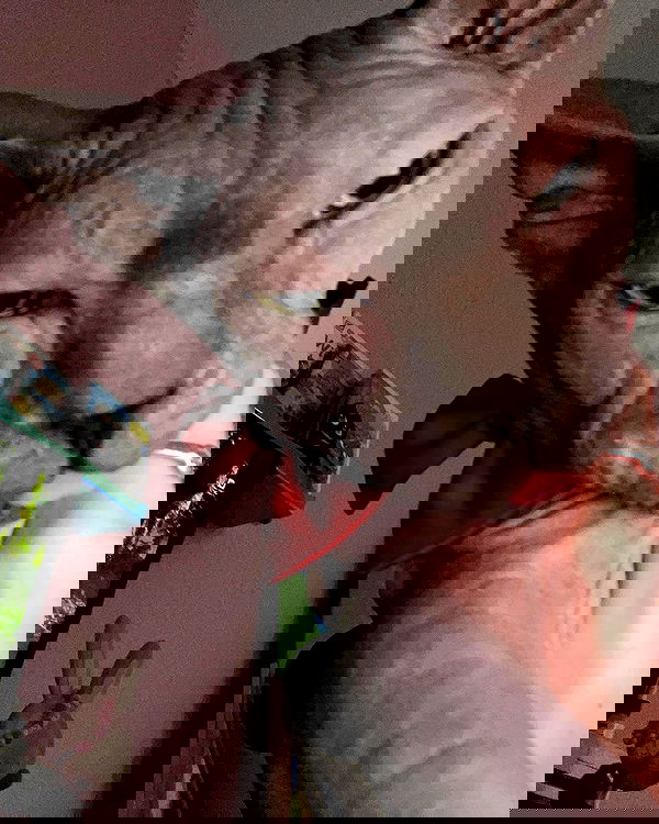 iluvmeww iluvmeww archive image