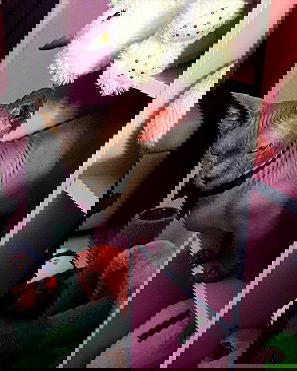 iluvmeww iluvmeww archive image