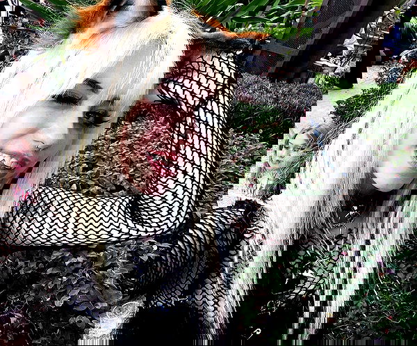 iluvmeww iluvmeww archive image