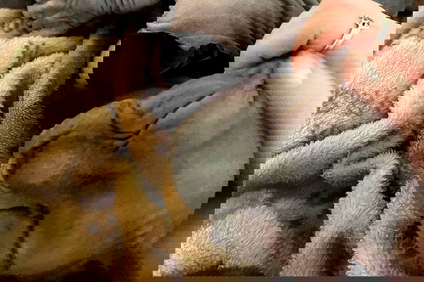 iluvmeww iluvmeww archive image