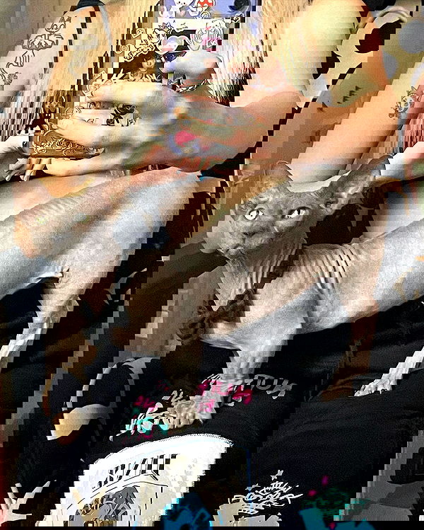 iluvmeww iluvmeww archive image