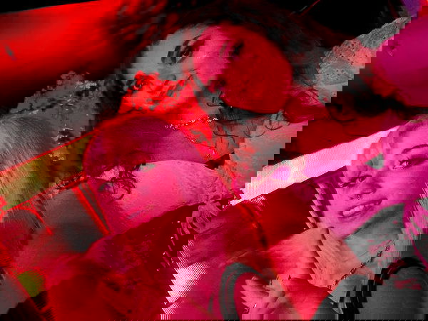 iluvmeww iluvmeww archive image