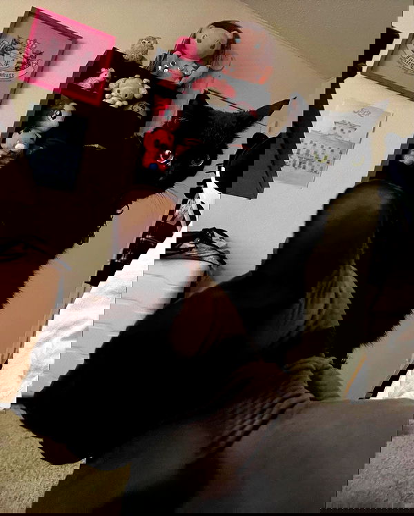 iluvmeww iluvmeww archive image