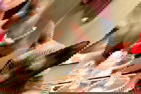 iluvmeww iluvmeww archive image