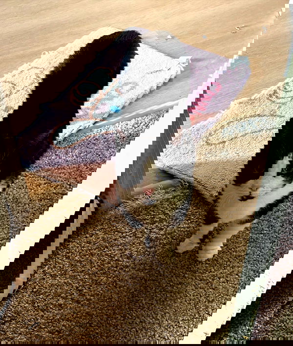 iluvmeww iluvmeww archive image