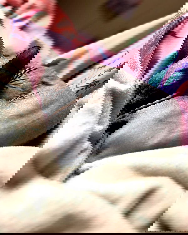 iluvmeww iluvmeww archive image