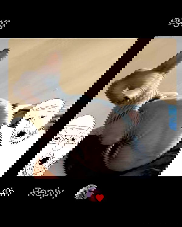 iluvmeww iluvmeww archive image