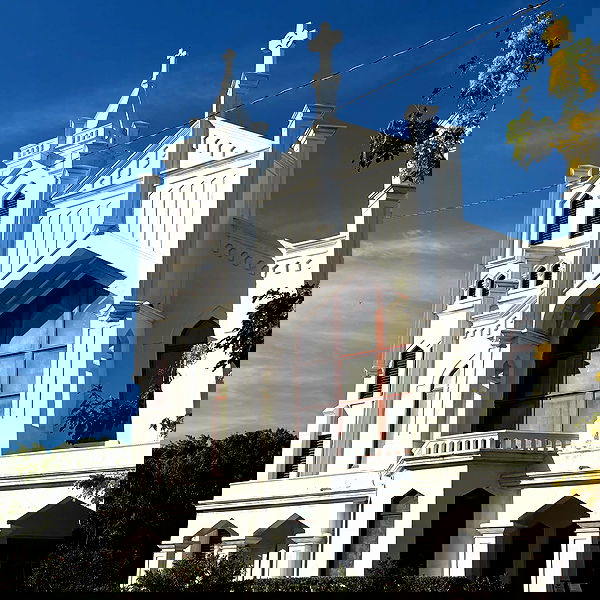 iluvmeww iluvmeww archive image